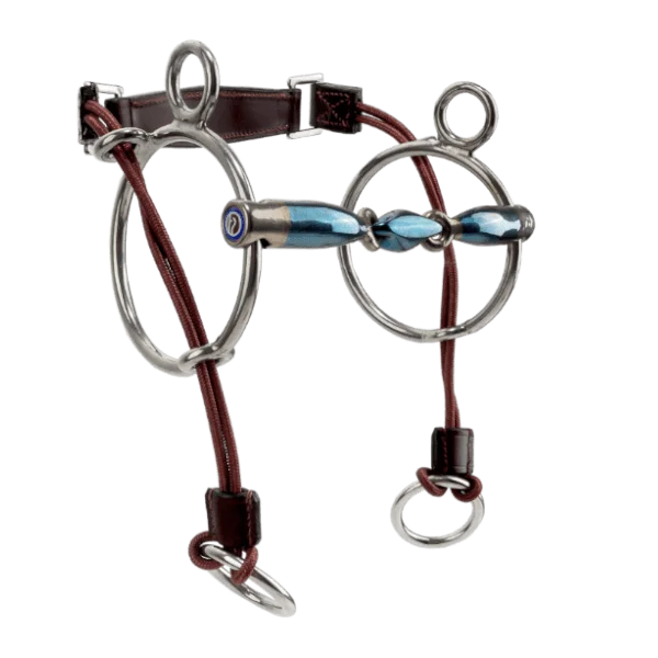 fundis-equestrian202607242356473294518