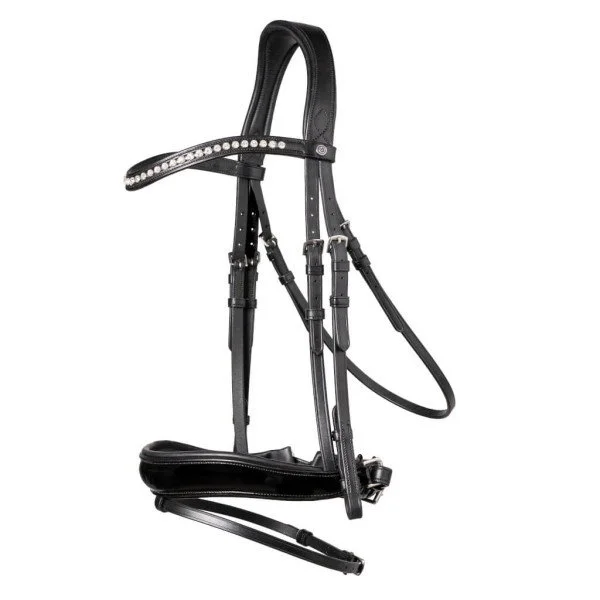 fundis-equestrian202607242359413294837
