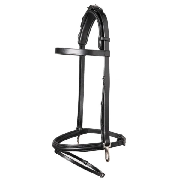 fundis-equestrian202607250000163294888