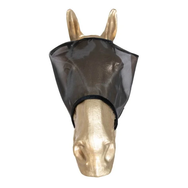 fundis-equestrian202607250001083294965