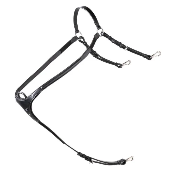fundis-equestrian202607250001393295010
