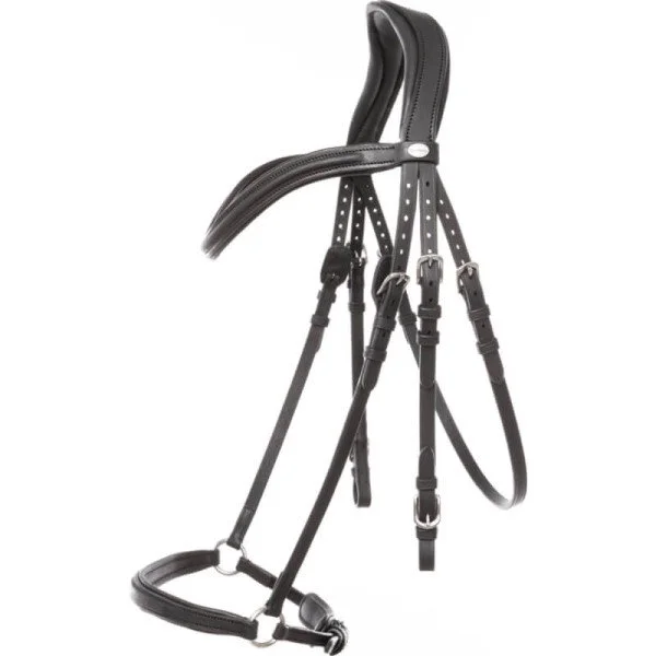fundis-equestrian202607250005443295397
