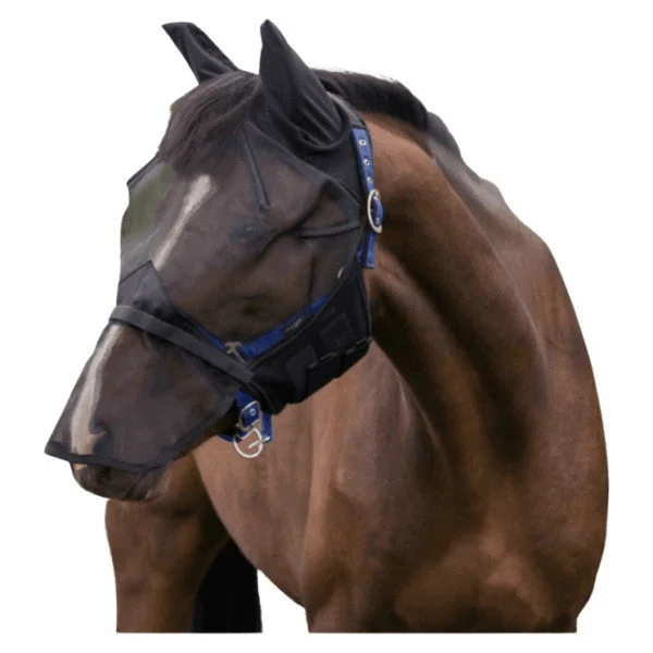 fundis-equestrian202607250007263295543
