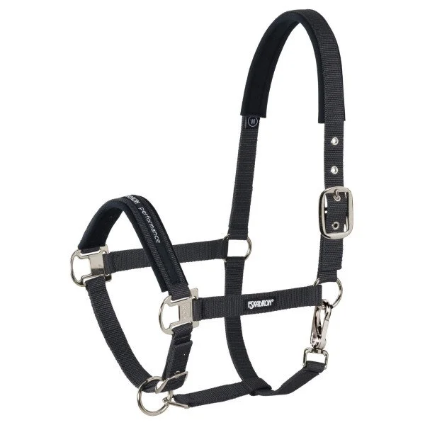 fundis-equestrian202607250009183295691