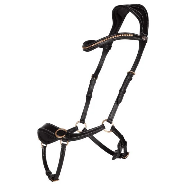 fundis-equestrian202607250009563295742