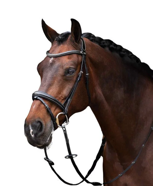 fundis-equestrian202607250011263295866