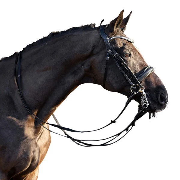fundis-equestrian202607250011413295883