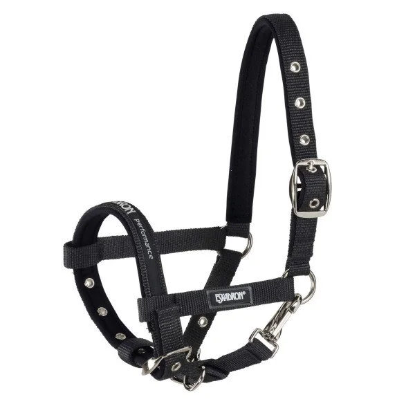 fundis-equestrian202607250012313295960