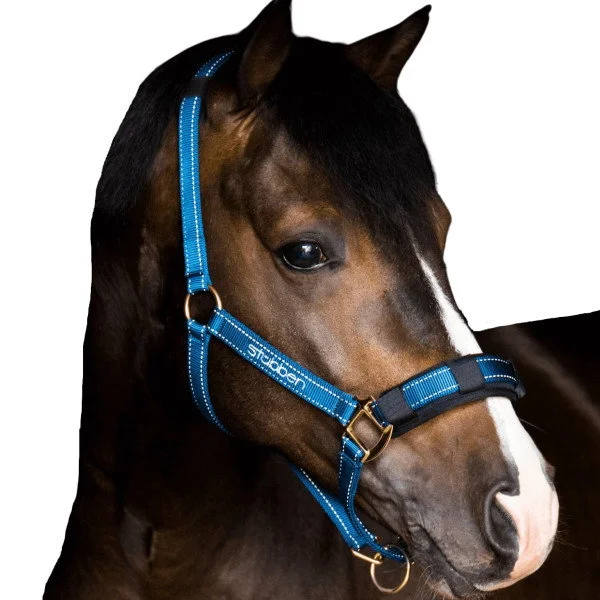 fundis-equestrian202607250012423295976