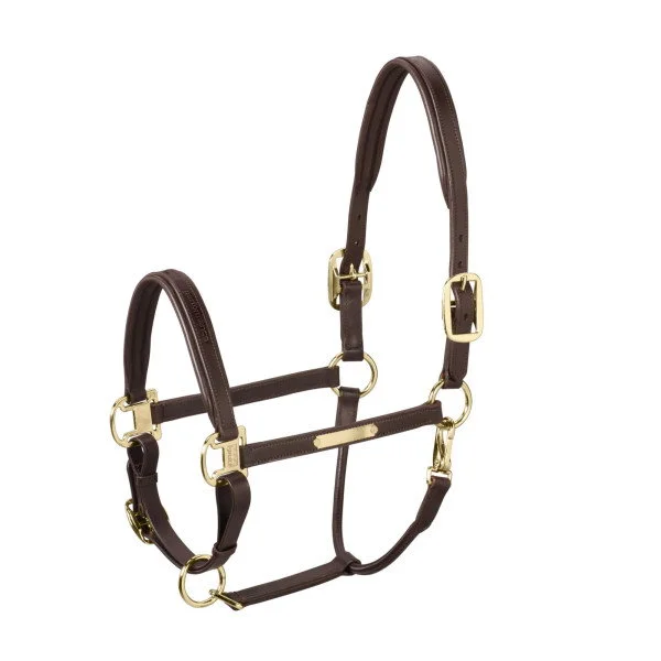 fundis-equestrian202607250012573295994
