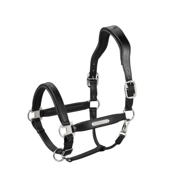 fundis-equestrian202607250012573295995