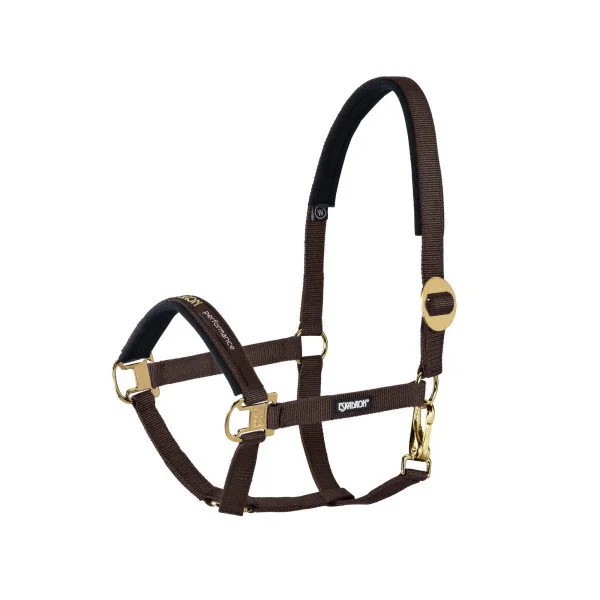 fundis-equestrian202607250013033296003