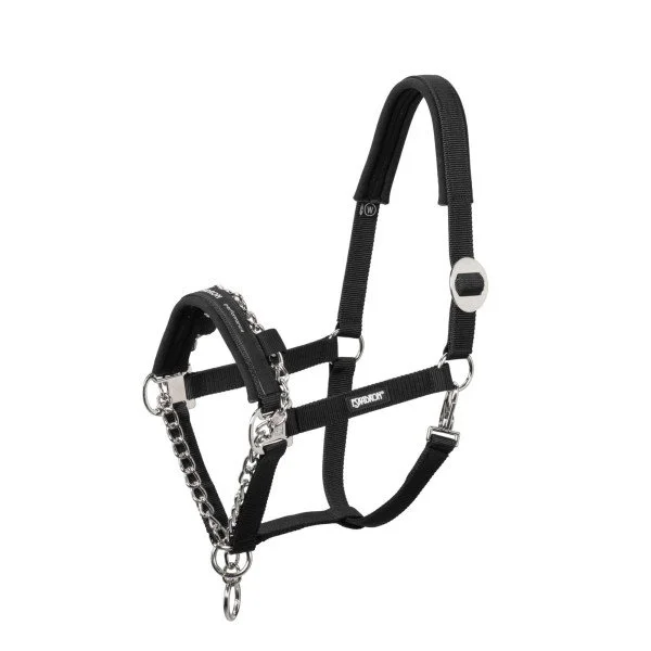 fundis-equestrian202607250013123296013