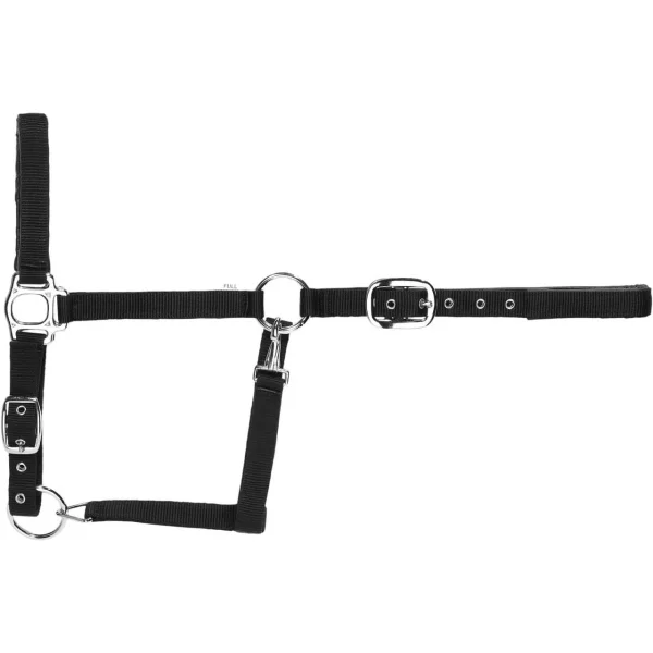 fundis-equestrian202607250014093296103