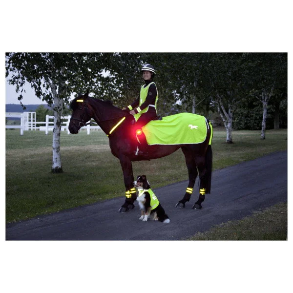 fundis-equestrian202607250014373296143