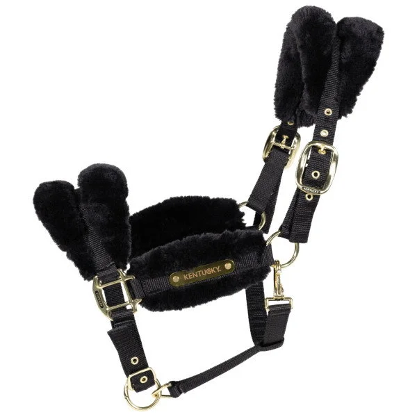 fundis-equestrian202607250016593296379