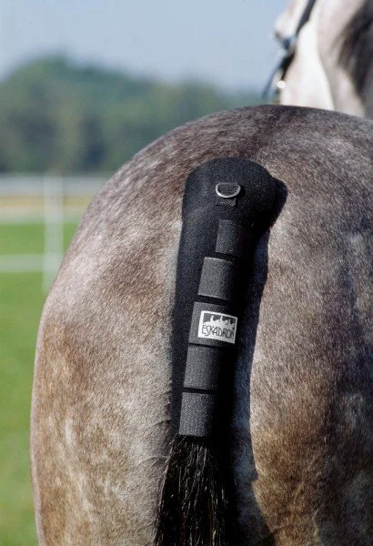 fundis-equestrian202607250021283296804