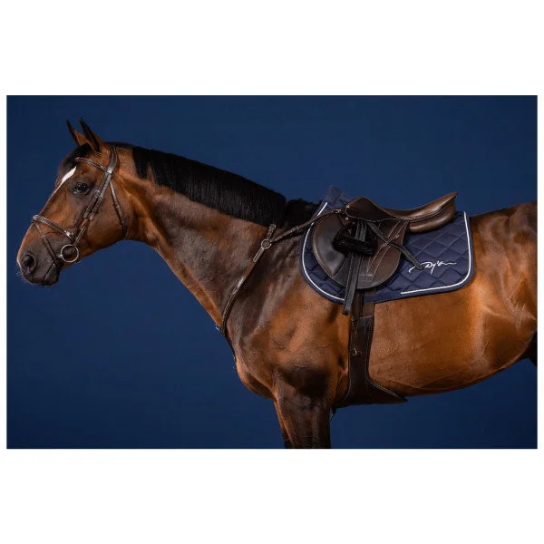 fundis-equestrian202607250021413296829