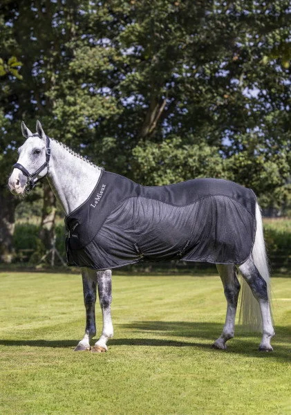 fundis-equestrian202607250024333297137