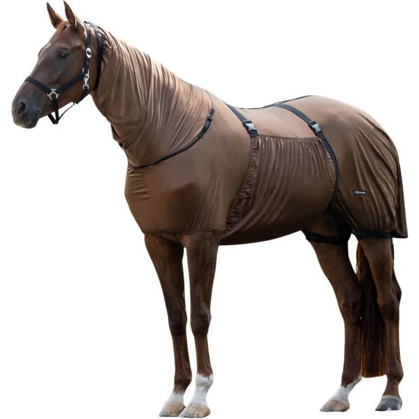 fundis-equestrian202607250026213297300