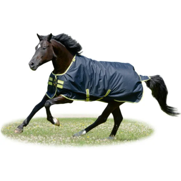 fundis-equestrian202607250028303297457