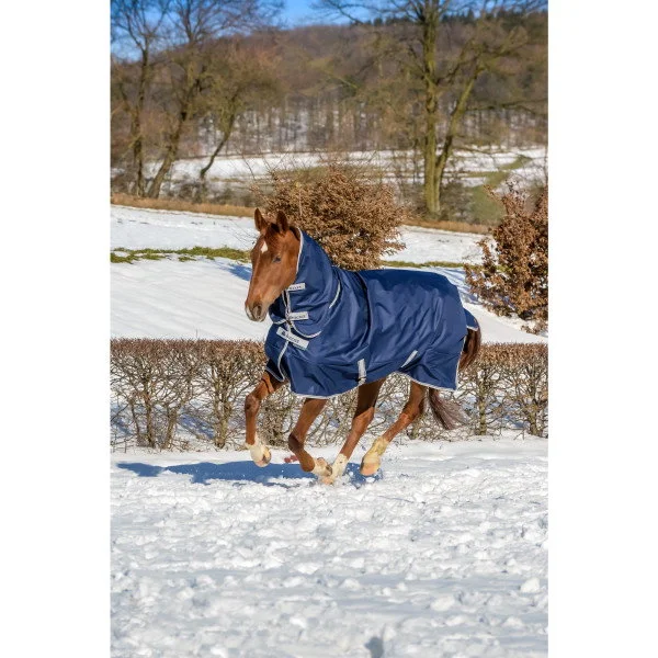 fundis-equestrian202607250029473297565