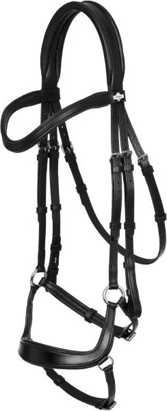 fundis-equestrian202607250030313297627