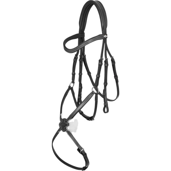 fundis-equestrian202607250030373297637