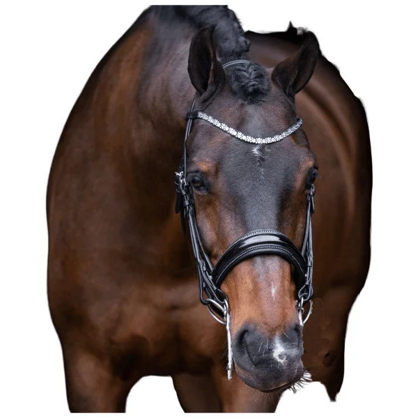 fundis-equestrian202607250032123297752