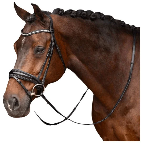 fundis-equestrian202607250032123297753