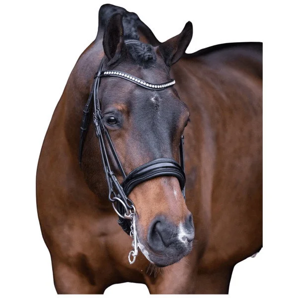 fundis-equestrian202607250032493297801