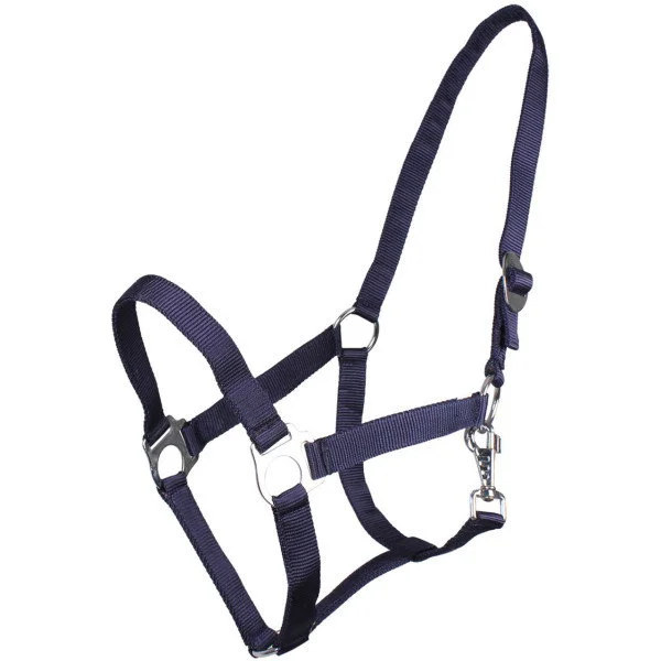fundis-equestrian202607250033173297835