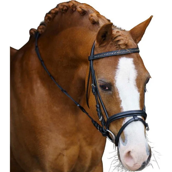 fundis-equestrian202607250035273298020