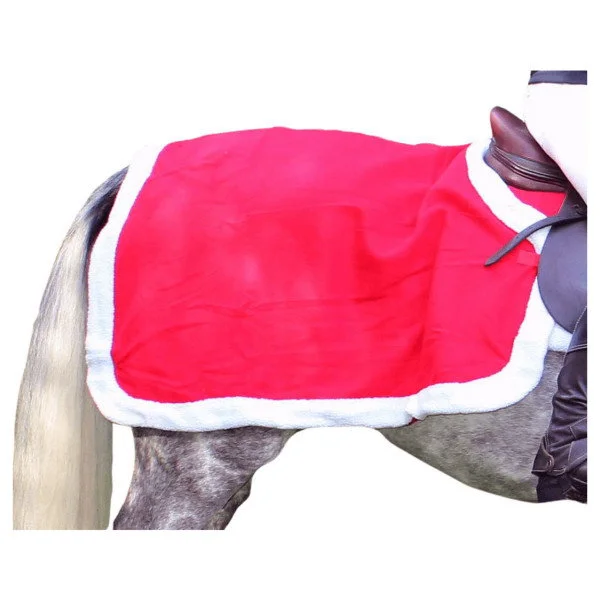 fundis-equestrian202607250036193298098