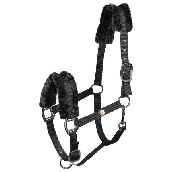 fundis-equestrian202607250037433298226