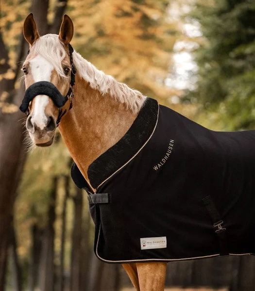 fundis-equestrian202607250037533298239