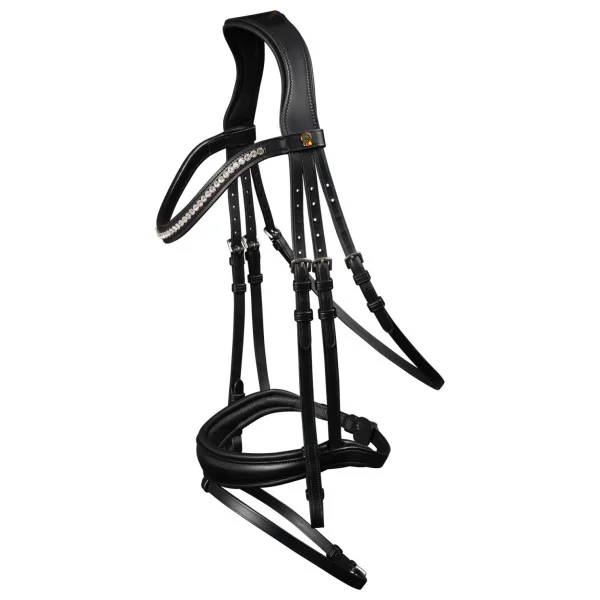 fundis-equestrian202607250040273298442