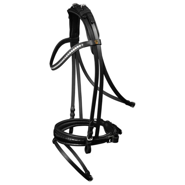fundis-equestrian202607250040333298451