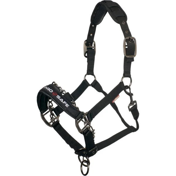 fundis-equestrian202607250041013298505