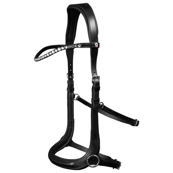 fundis-equestrian202607250041193298535