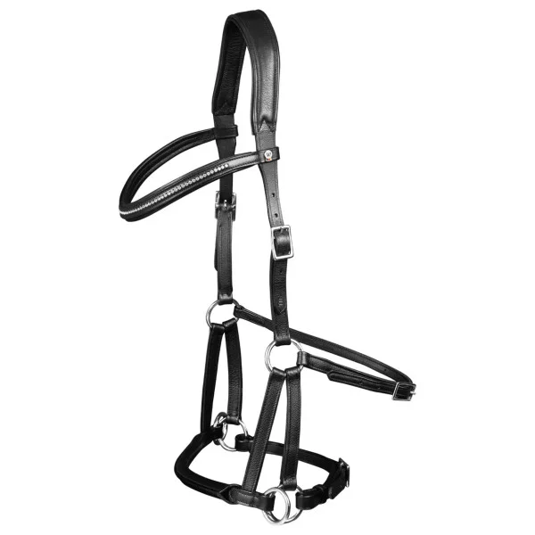 fundis-equestrian202607250041493298589