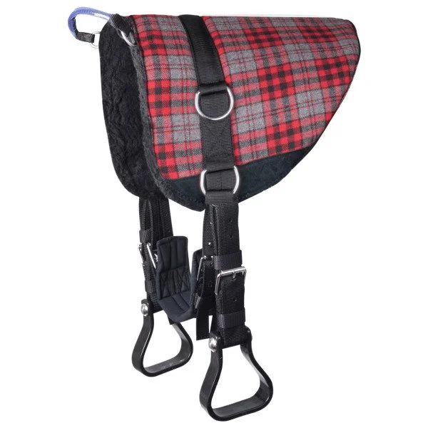 fundis-equestrian202607250042043298614