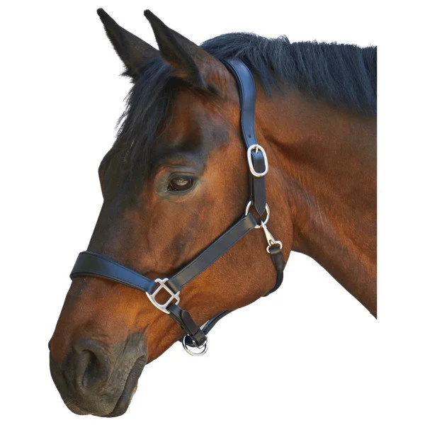 fundis-equestrian202607250044113298833