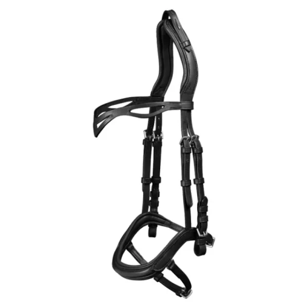 fundis-equestrian202607250044393298879