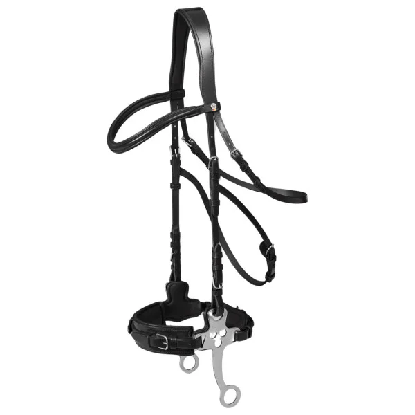fundis-equestrian202607250044403298886
