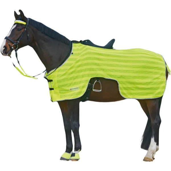 fundis-equestrian202607250046143299054