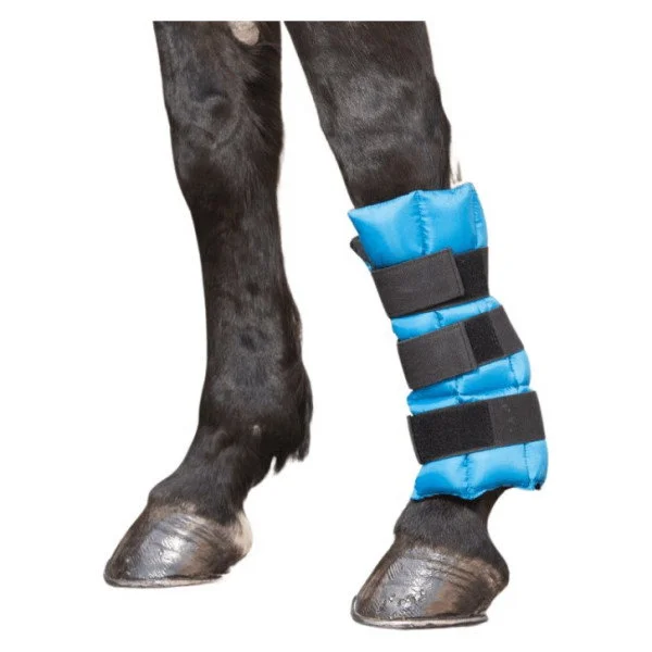 fundis-equestrian202607250046533299109