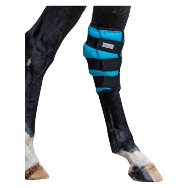 fundis-equestrian202607250046553299112