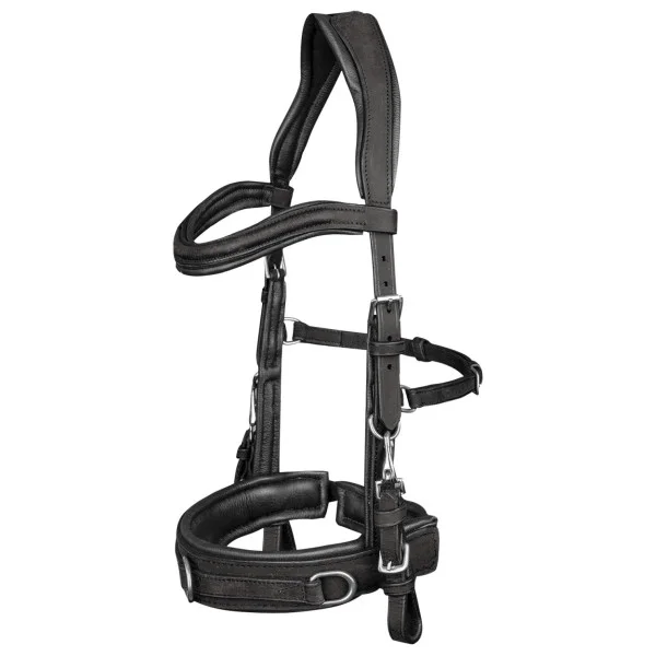 fundis-equestrian202607250047493299195