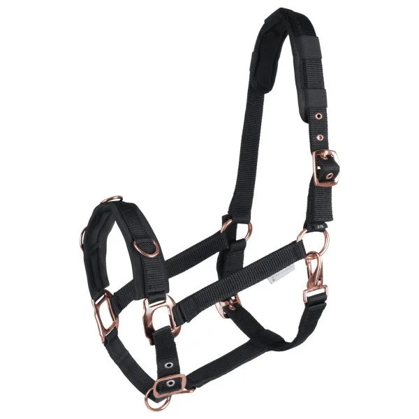 fundis-equestrian202607250048023299211